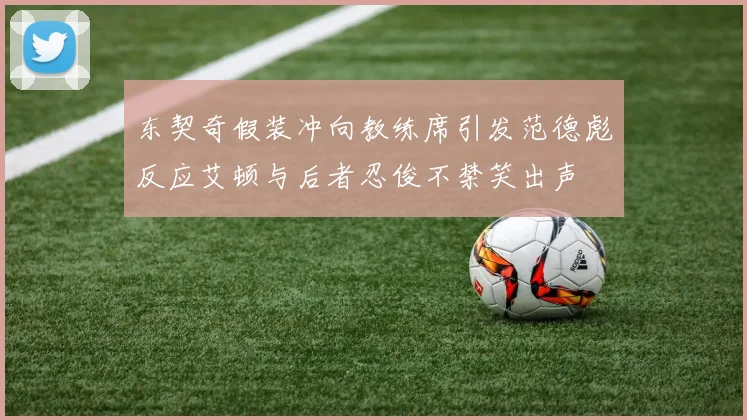东契奇假装冲向教练席引发范德彪反应艾顿与后者忍俊不禁笑出声