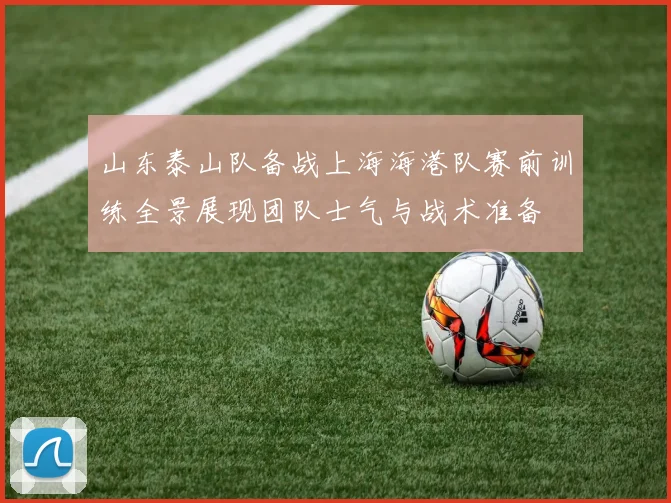 山东泰山队备战上海海港队赛前训练全景展现团队士气与战术准备