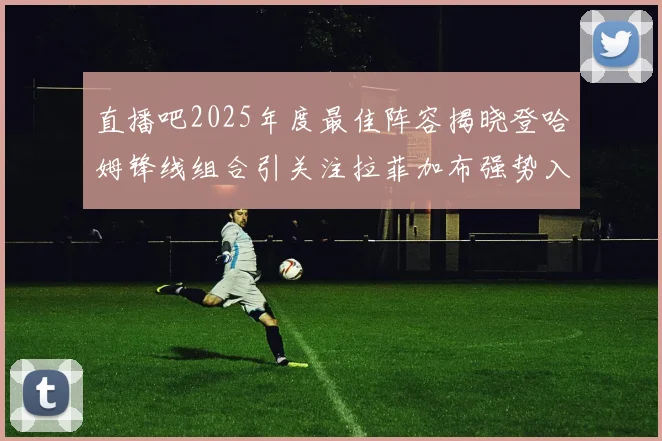 直播吧2025年度最佳阵容揭晓登哈姆锋线组合引关注拉菲加布强势入选