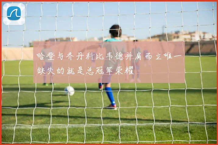 哈登与乔丹科比韦德并肩而立唯一缺失的就是总冠军荣耀